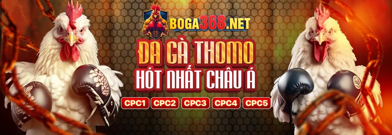 Minh họa các loại cookie w88vt app sử dụng